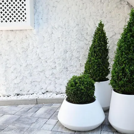 Mandrina 10 Free Parking Apartamento