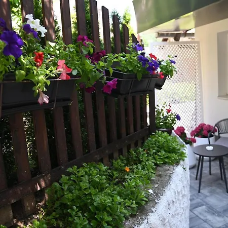 Mandrina 10 Free Parking